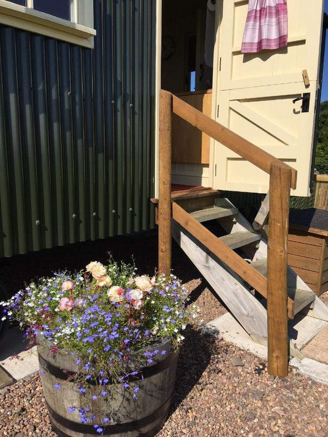 The Hawthorn Shepherds Hut Eyemouth Eksteriør billede