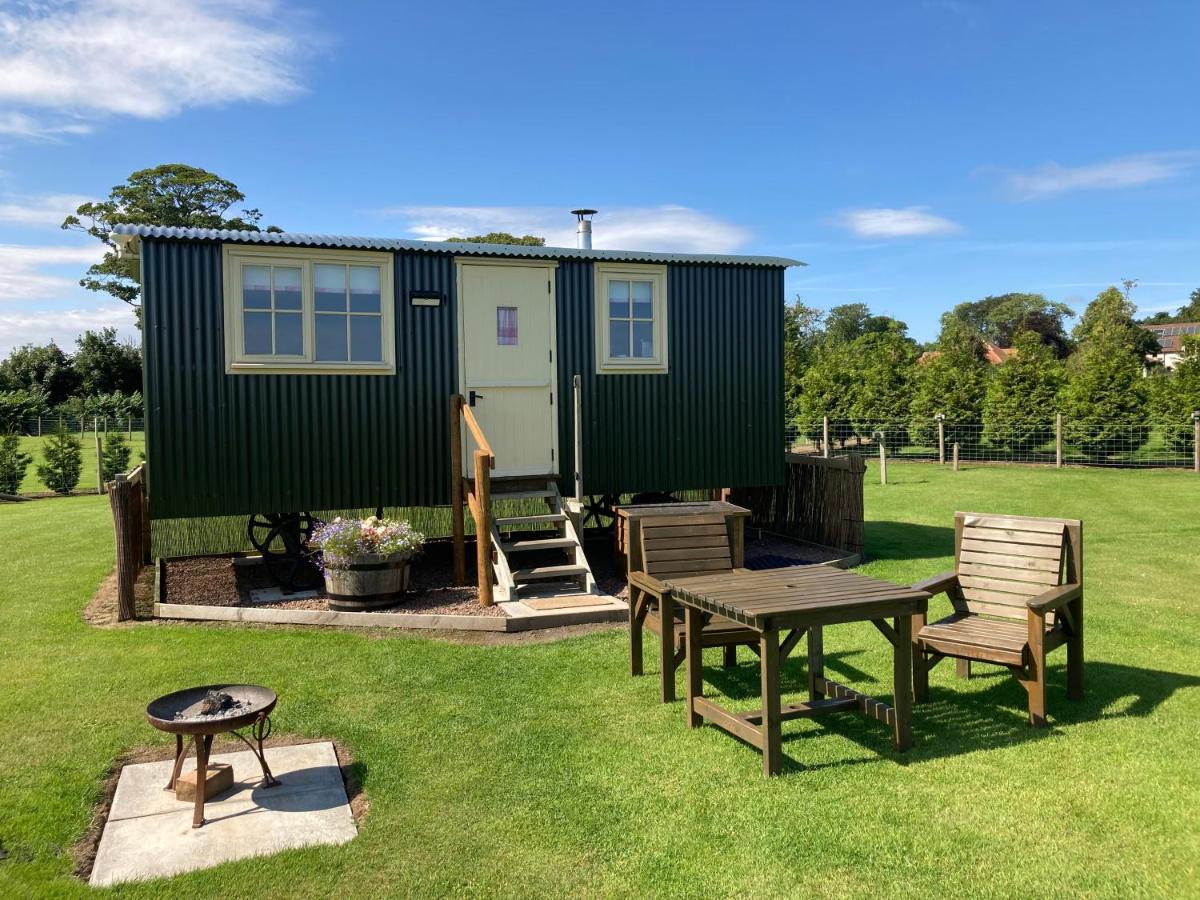 The Hawthorn Shepherds Hut Eyemouth Eksteriør billede